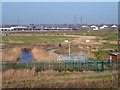 TQ5479 : View over Aveley Marshes by Robin Webster