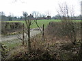 Farm track leading to Parkland Farmhouse