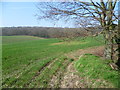 Lords Wood from Shellbank Lane