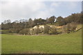 TQ8756 : Chalk escarpment in the valley between Wormshill and Bedmonton by Richard Gibbard