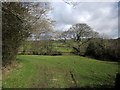 Meadow by the Meavy