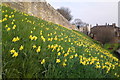 City walls and Micklegate bar, York