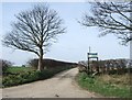 Track to West Huntow Farm