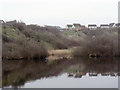 Chafford Gorges Visitor Centre