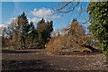 Dried up Priory Pond