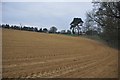 Yeovil : Ploughed Field