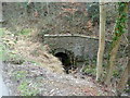 Nant Hafod-tudur enters a culvert near Hafod Tudor Terrace , Wattsville