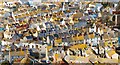 Portland: Rooftops of Fortuneswell