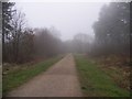 Footpath in Clowes Wood