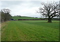 Footpath to Camp Farm