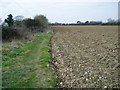 Path to Fisher Farm