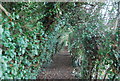 Footpath to The Quarries