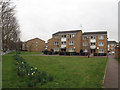 Housing on Catesby Street