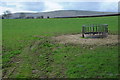 Feeding rack in a field