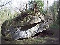 SK5175 : Magnesian Limestone Boulder by Jonathan Clitheroe