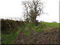 Lane on the east side of Butter Hill