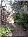 Footpath to Brookhill Wood