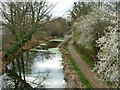 The Basingstoke Canal heads west