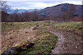 Braan Path near Tomgarrow