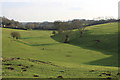 Dry-valley in the Cotswolds near Nettleton