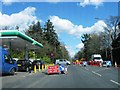 Roadworks, Winchester Hill, Romsey