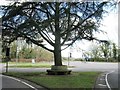 War Memorial Seat, Hursley