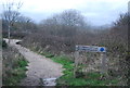 Bothenhampton Nature Reserve