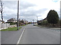 Green Lane - viewed from St Mary