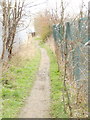 Trans Pennine Trail at Woodhouse Mill