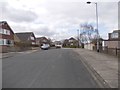 Silver Birch Drive - viewed from Silver Birch Avenue