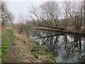 Path along Little Ouse