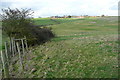 Pastures near Lower Pollicott