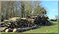 2012 : Log pile on Stoney Hill