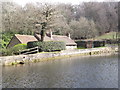 Mill Pond Dam, Barford