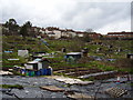 Muller Road Allotments