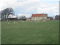 Farmhouse at Greystone Farm