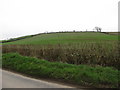 Farmland on Maryvale Hill