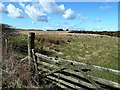 Farmland near Straiton