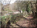 Footpath, Whitmore Vale