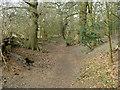 Sunken bridleway, Pyrford