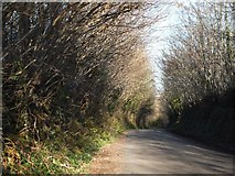 SX4057 : Minor road near Shillingham by David Smith