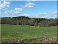 View across the valley to Millhanger