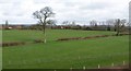 Farmland, Newtown Farm