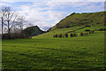 Grazing land below Parkhouse Hill