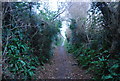 Footpath in Bothenhampton