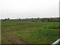 Farmland on the north eastern side of Carnacally Road