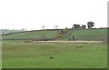 View across an inter-drumlin wetland towards Manse Hill Road