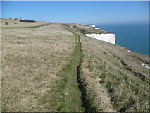 TR3542 : Cliff top path along the White Cliffs of Dover by Marathon