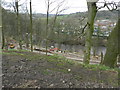 Path by River Goyt