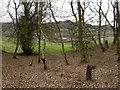 From Huntley Wood towards Mobberley